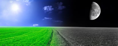 creature comforts blog 1280x499